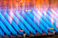 Langney gas fired boilers